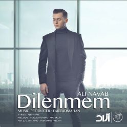 Ali Navab – Dilenmem